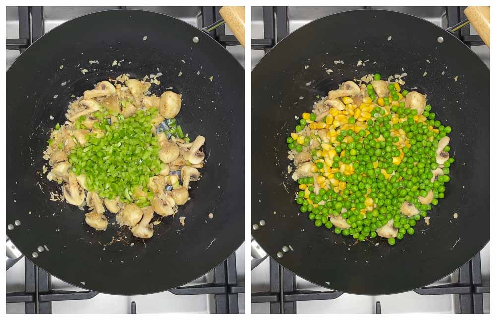 Carrot-Cabbage-Rice-and-Tofu-with-Veggies-13 - 9