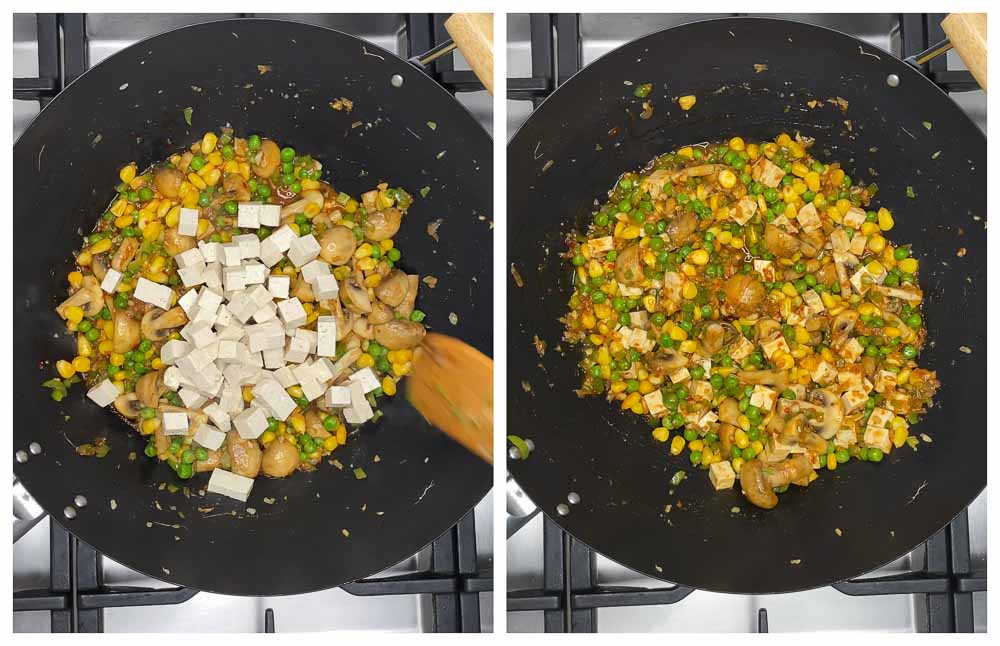Carrot-Cabbage-Rice-and-Tofu-with-Veggies-15 - 11