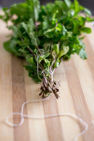 Easy-Tomato-Mint-Soup-Recpe-For-Cold-Fever-twine - 7