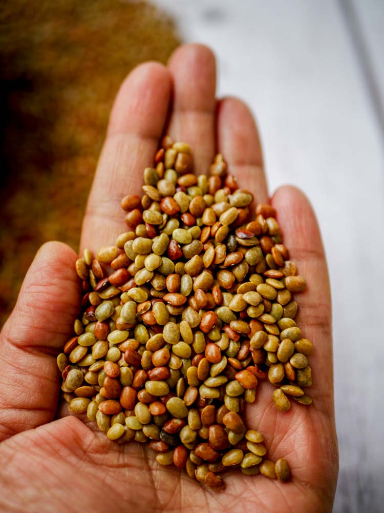 Horsegram rasam-1-2 - 27