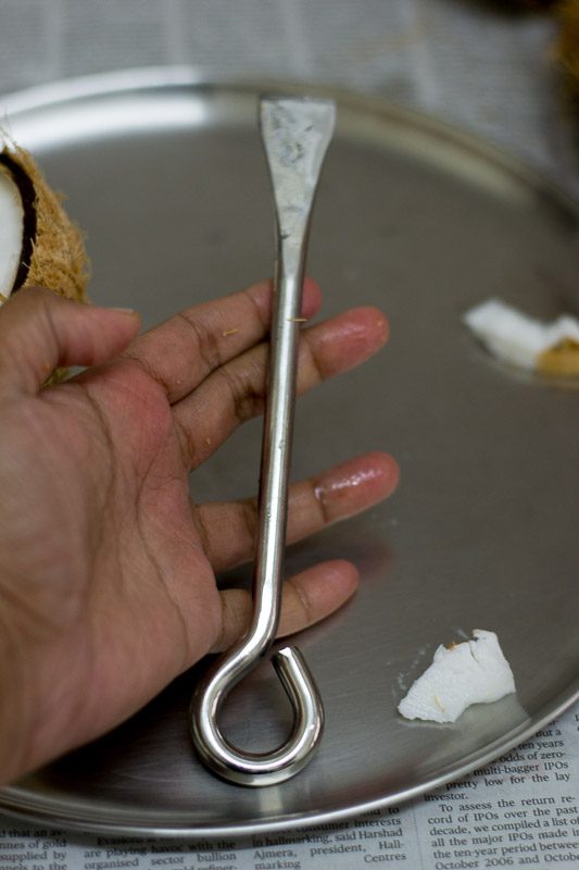 How-to-shred-and-freeze-coconut-1-3 - 4