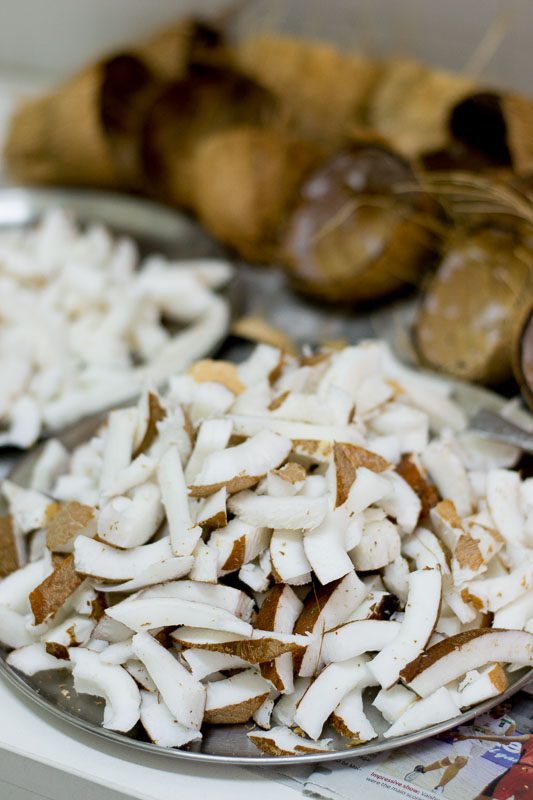 How-to-shred-and-freeze-coconut-1-4 - 5