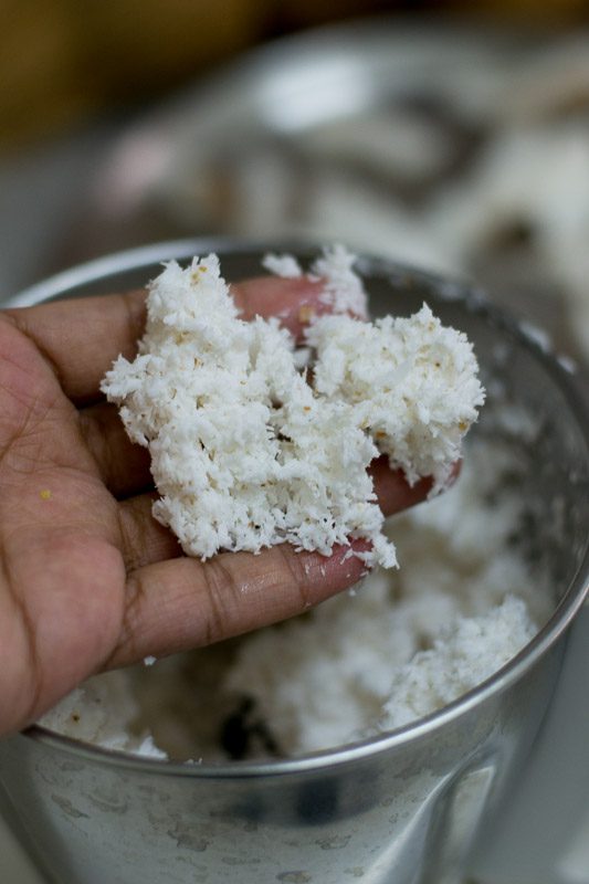 How-to-shred-and-freeze-coconut-1-7 - 8