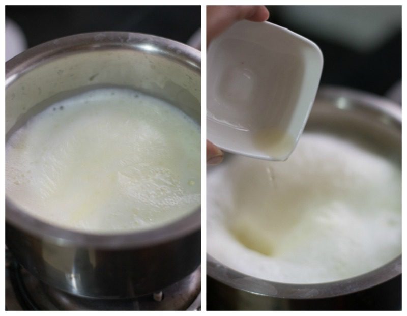 No-Bake-Blueberry-Cheesecake-Recipe-with-Gelatin-hung-yogurt-make-paneer-one