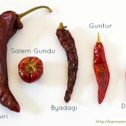 South-Indian-Chillies-Varieties