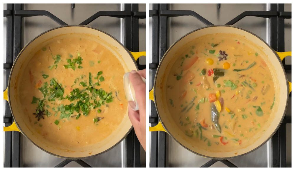 Thai-massaman-curry-vegan-recipe-curry-paste-from-scratch-12
