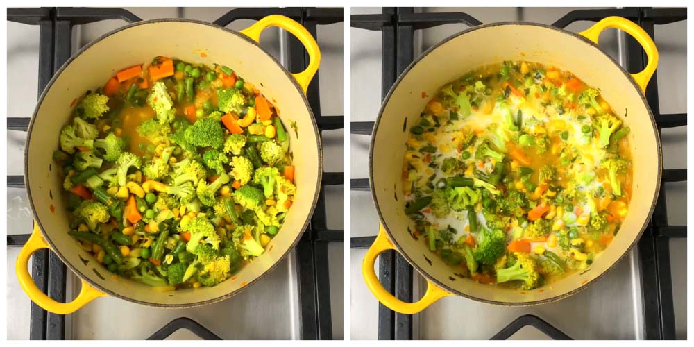 Vegetable-Curry-Turmeric-Coconut-milk-Sauce-7 - 8