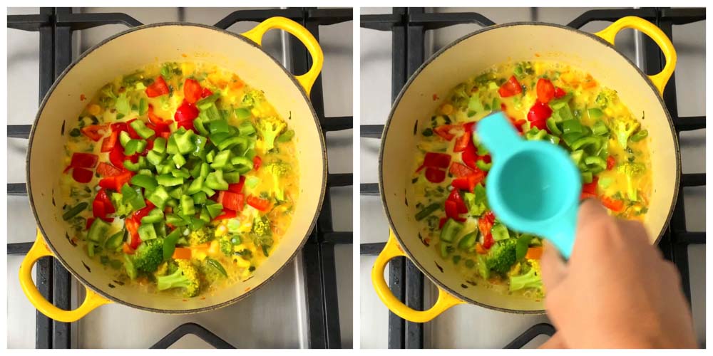 Vegetable-Curry-Turmeric-Coconut-milk-Sauce-8 - 9