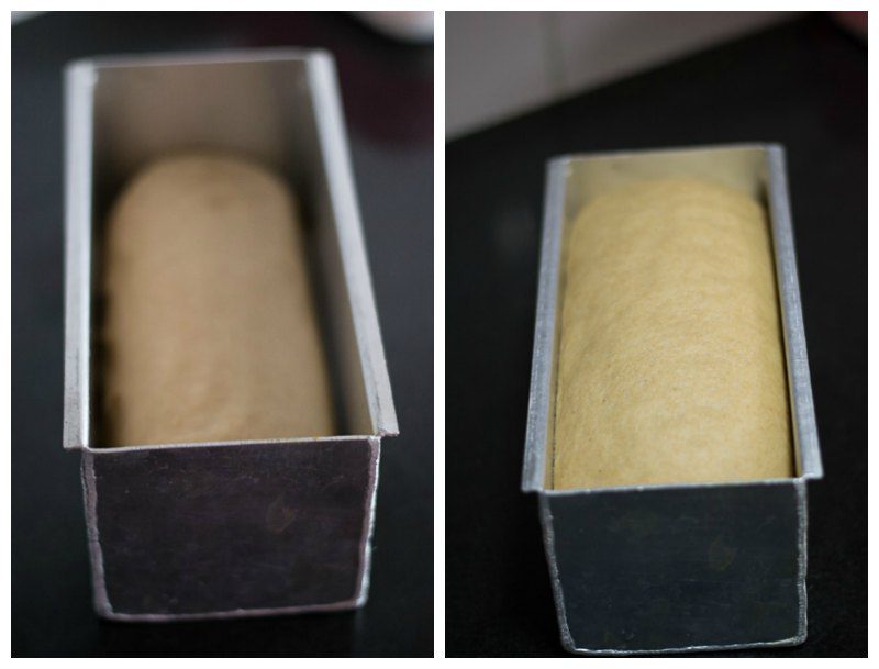 classic-100-percent-whole-wheat-atta-bread-recipe-loaf-pan