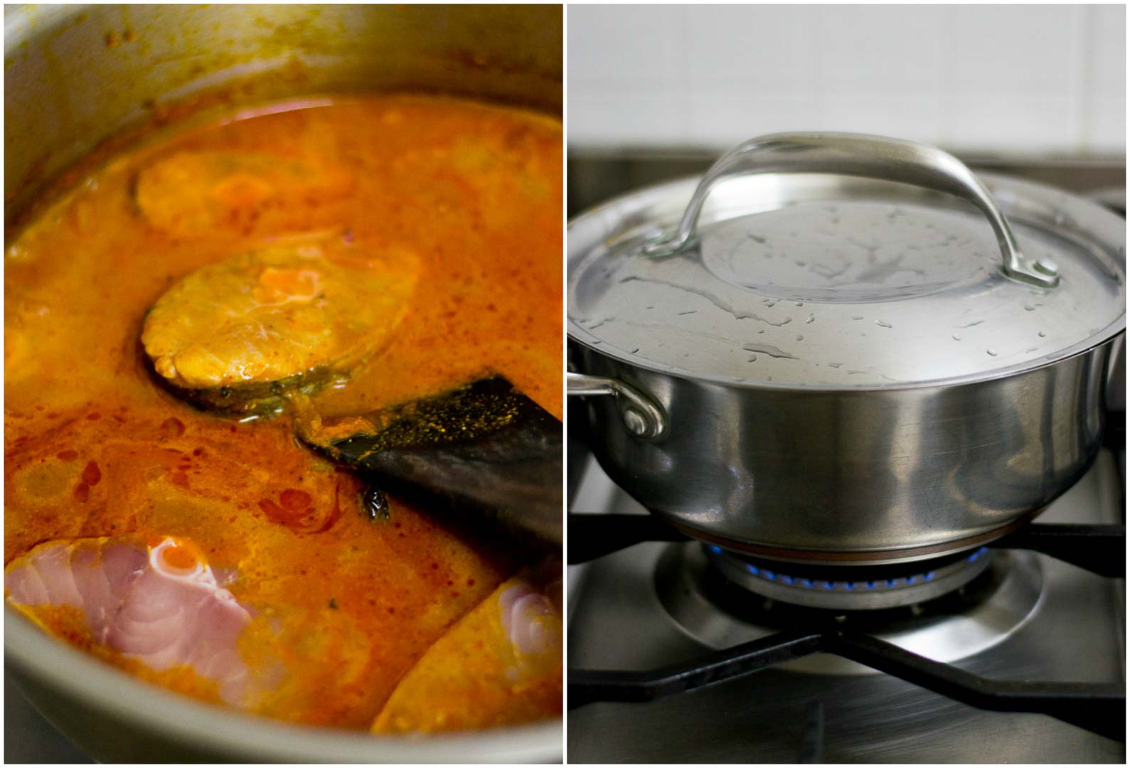 goan-fish-curry-recipe-11
