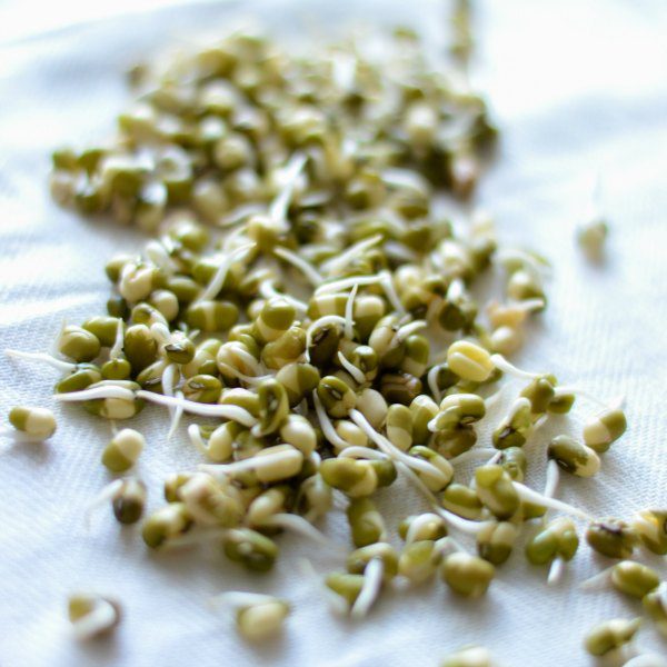 sprouting mung beans moong at home, how to sprout mung beans