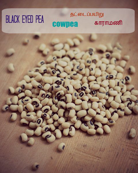 karamani-black-eyed-bean-puli-kuzhambu-curry-recipe-grain - 15