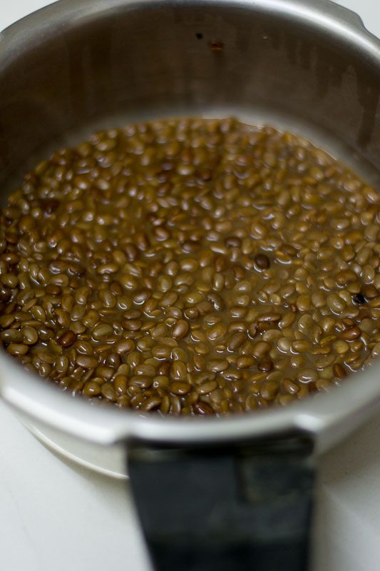 kollu-dosai-horsegram-dosa-recipe-1-4 - 4