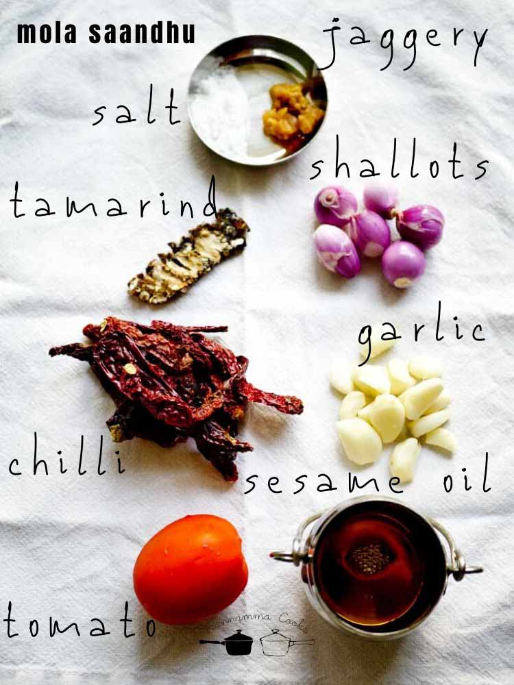 mola-saandhu-raw-garlic-chilli-chutney-4 - 21