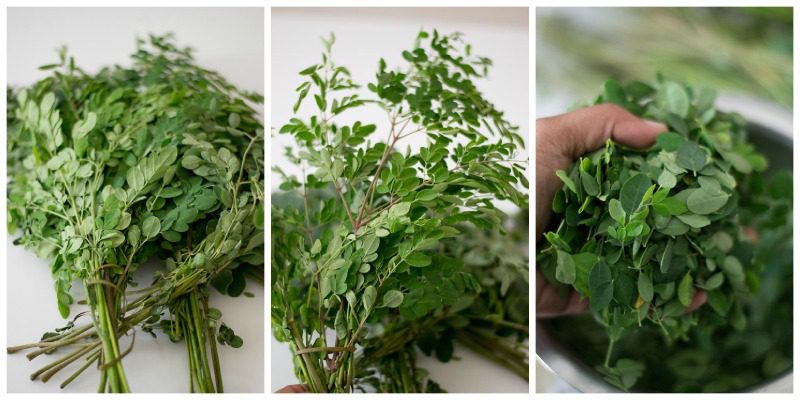 murungai-keerai-2 - 16