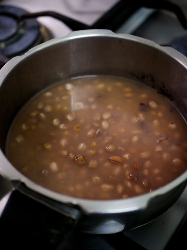 peanut-chaat-groundnut-salad-recipe-5 - 2