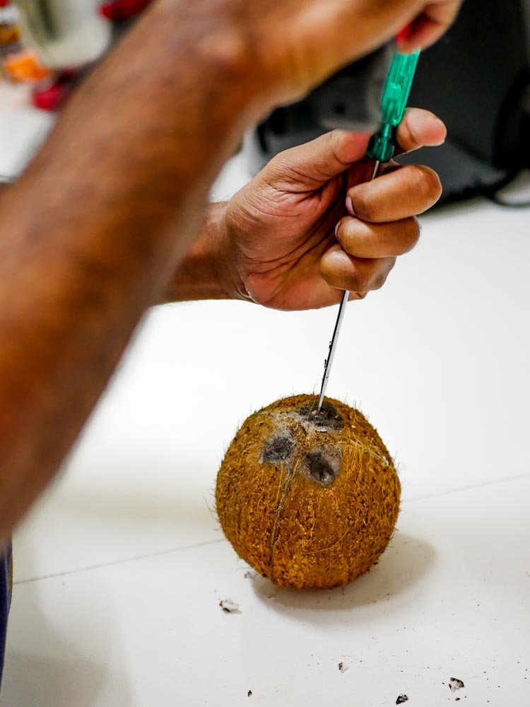 thenga-sudum-pandigai-aadi-festival-kongunadu-1-13 - 3