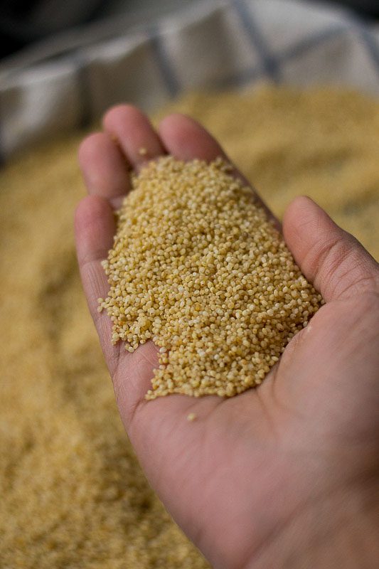 thinai-maavu-laddu-foxtail-millet-laddu-recipe-2